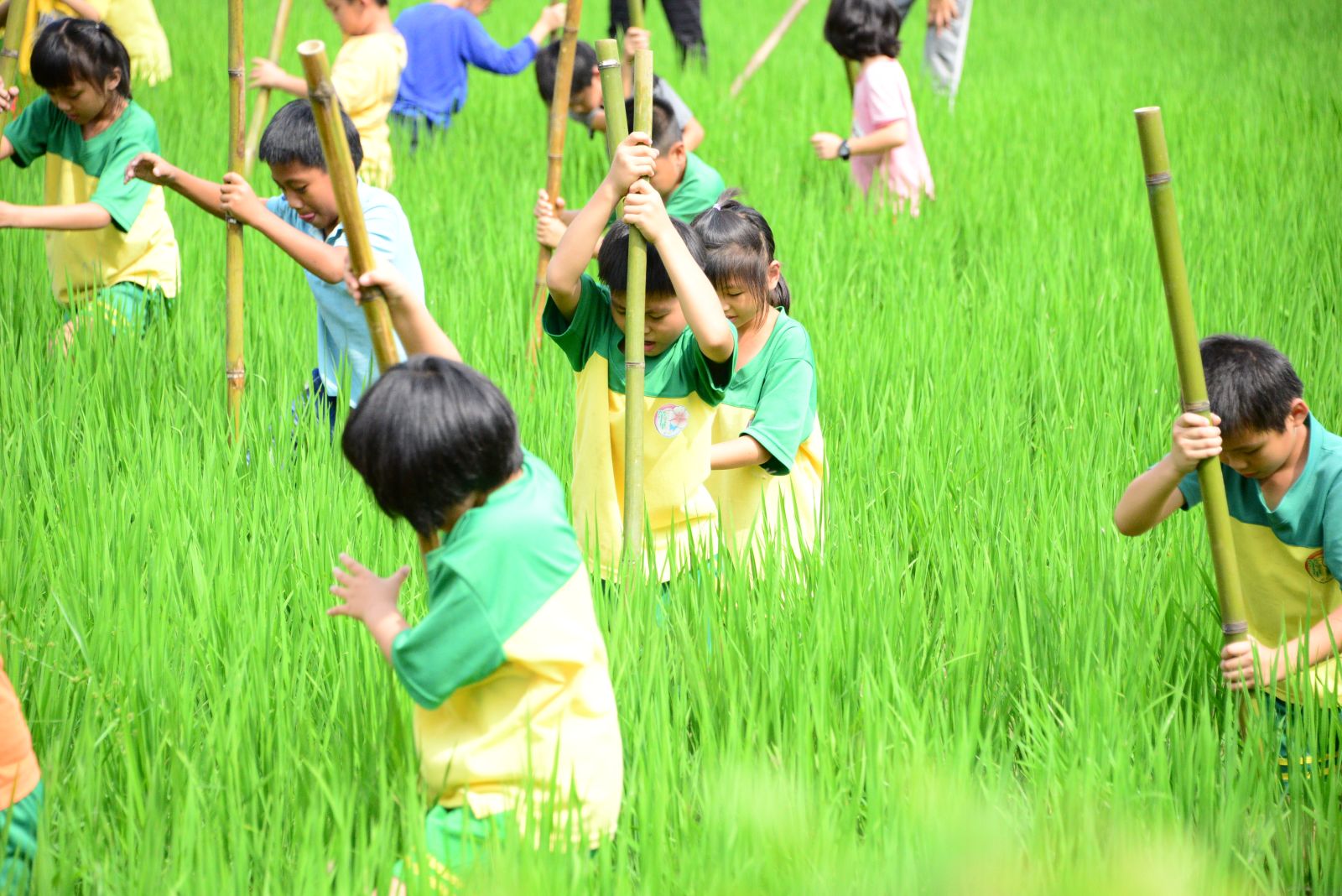 小朋友踔田趣特寫
