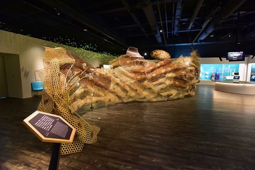 2020042321