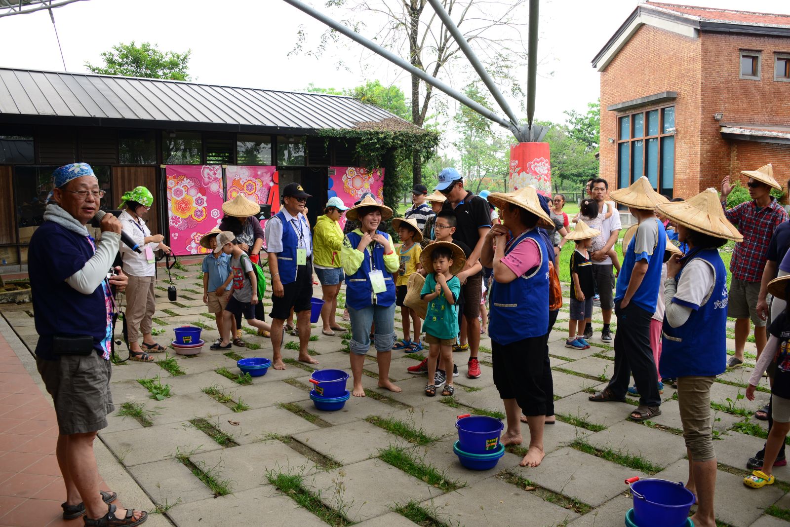 水田觀察戶外特寫