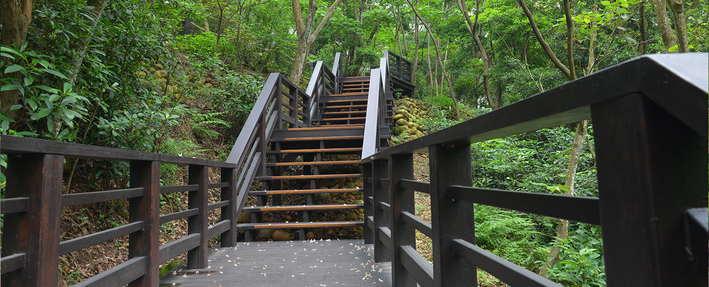 wooden walkway