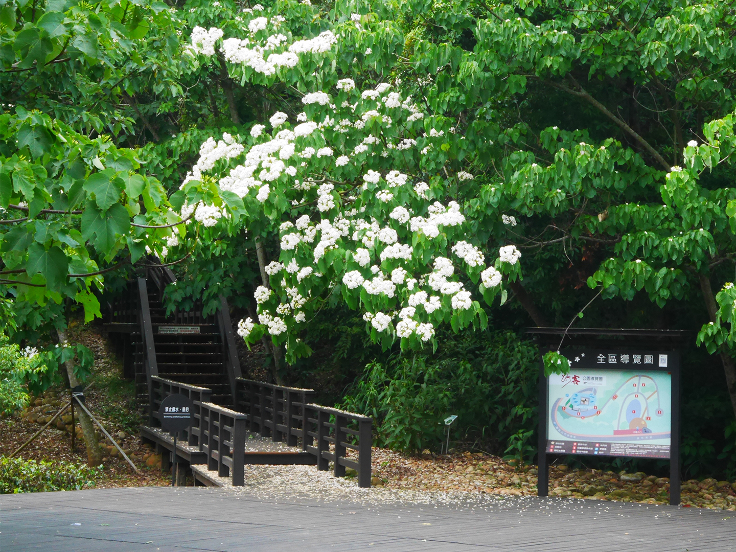 花桐步道階梯口