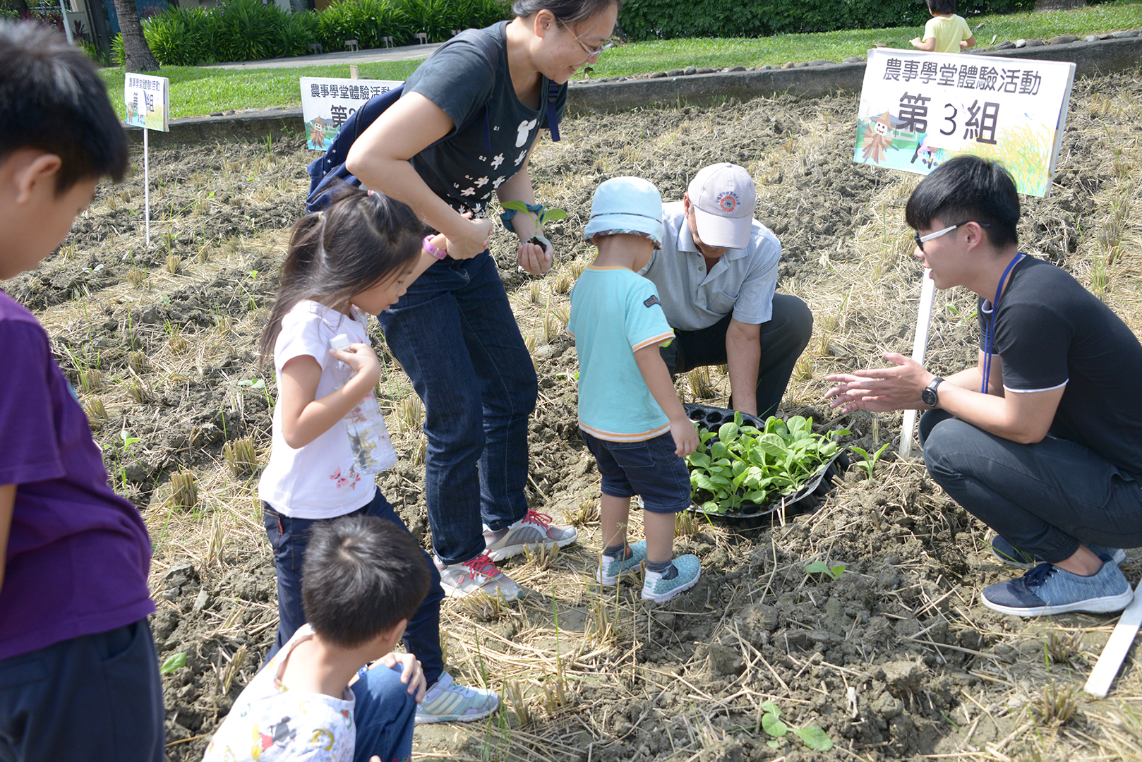 小朋友領取小菸草