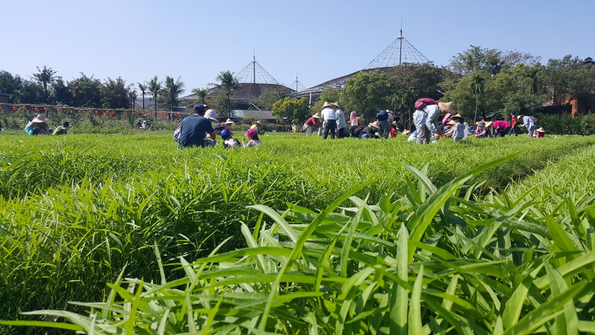 綠意盎然的遠景