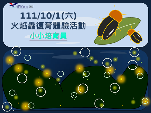 111年10月15日昆蟲生態觀察與生物速寫