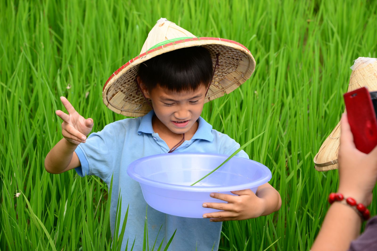 小朋友水田觀察特寫