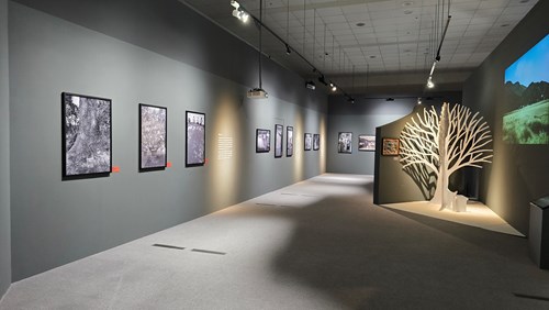餞影-典藏攝影藝術展展示內景