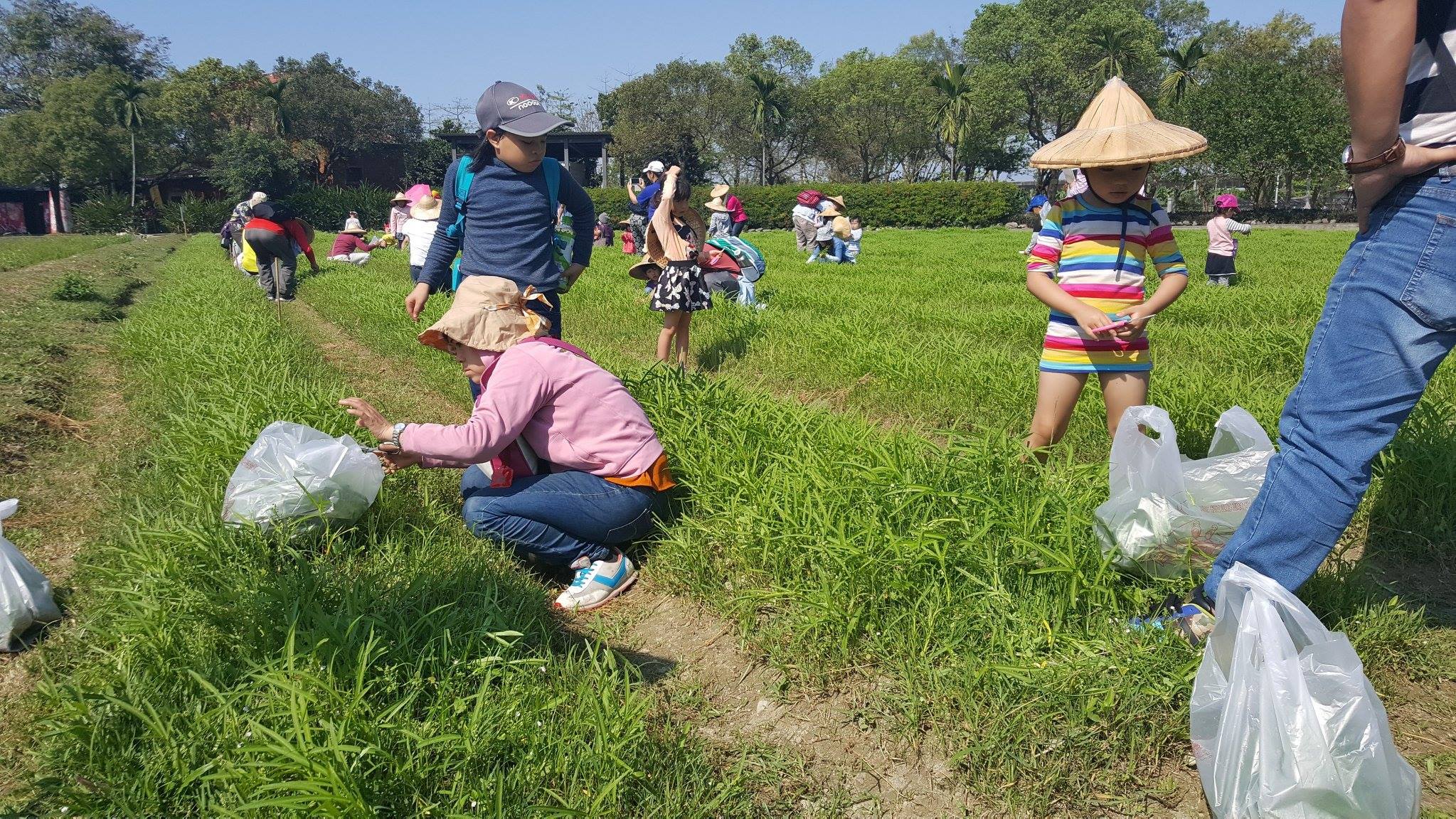 媽媽帶小孩一同來採收體驗