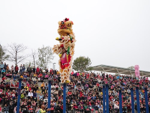 A Lion Dance Performance