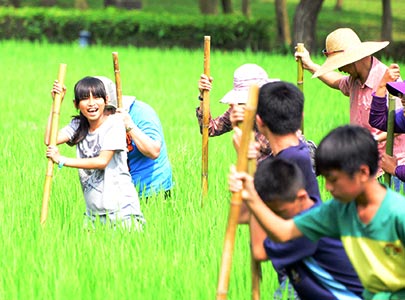 教育與活動 主圖