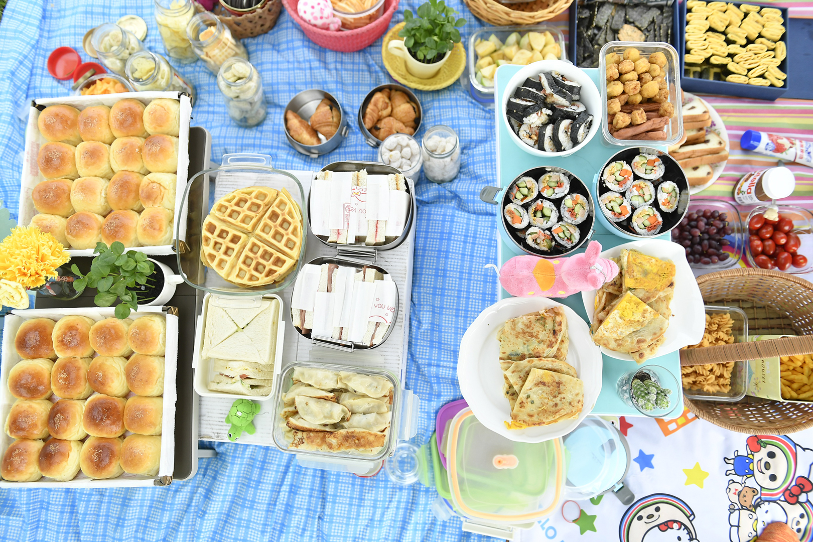 民眾自備野餐食物