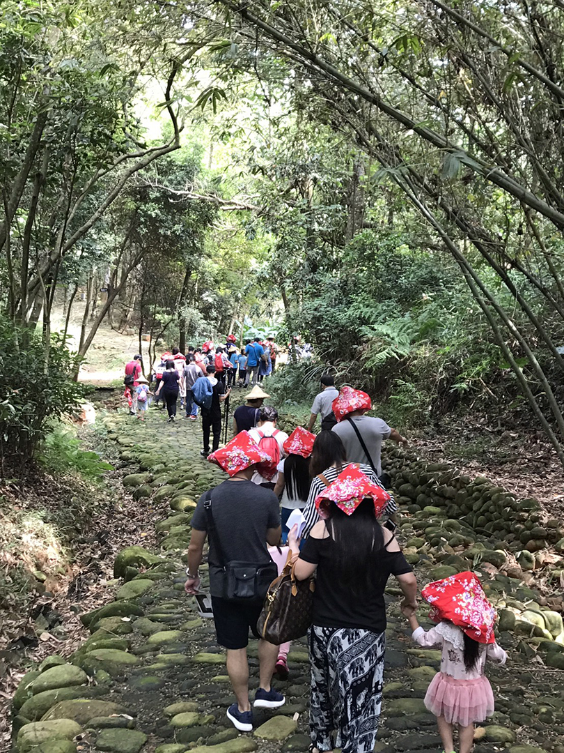 進入茶園步道