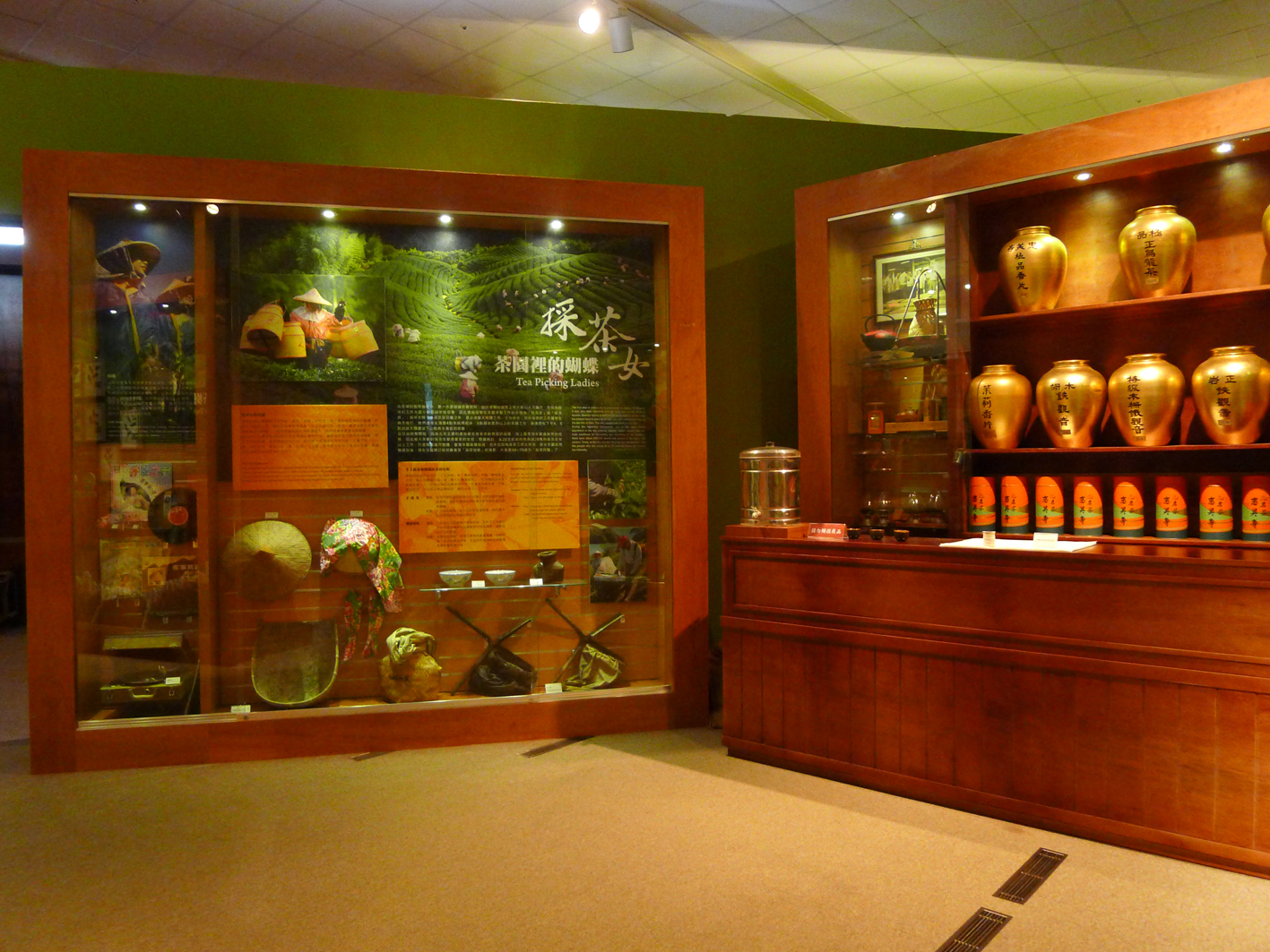 茶園裡的蝴蝶-採茶女 茶園裡的蝴蝶-採茶女