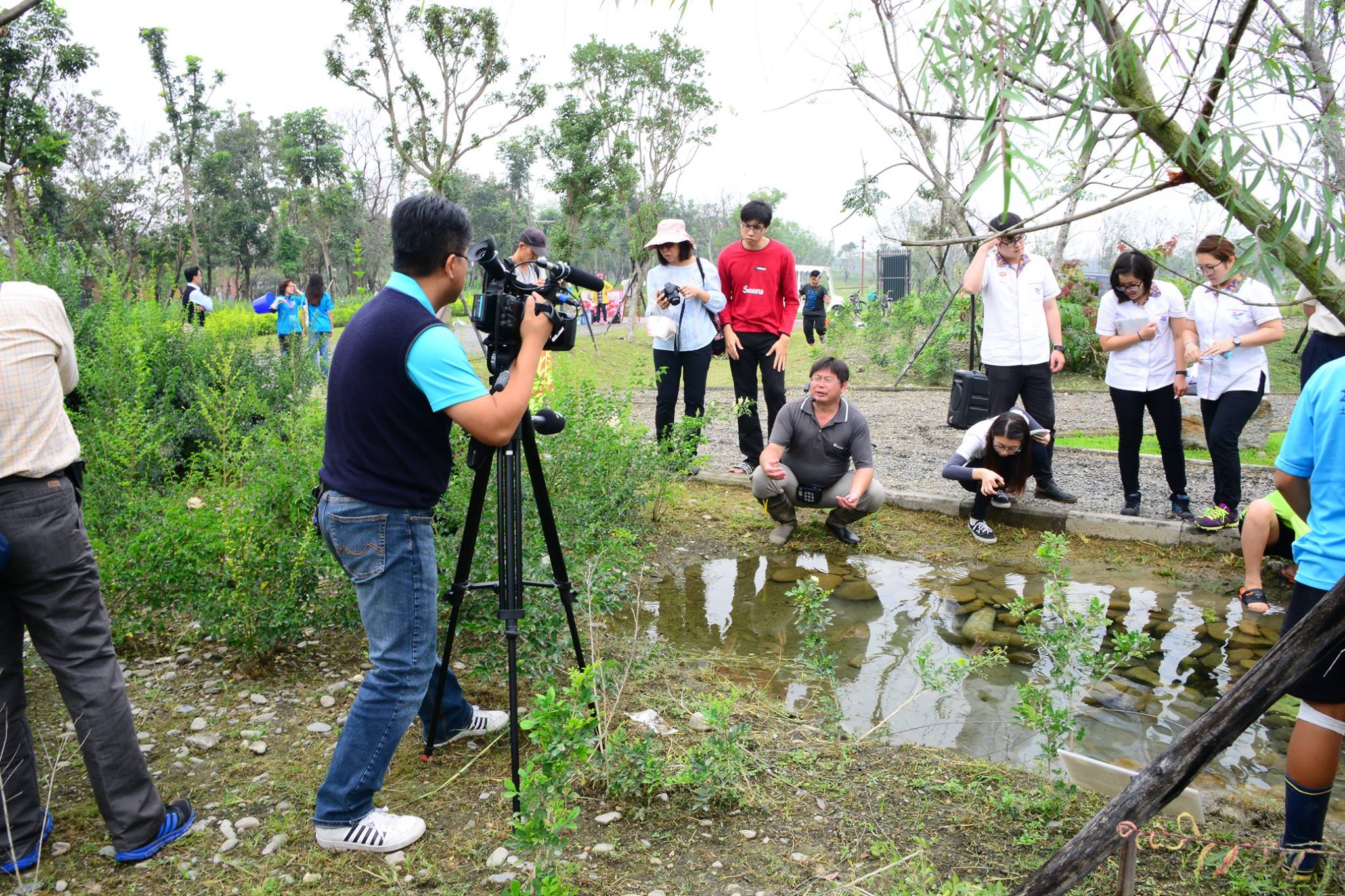 Firefly Cultivation Program-1